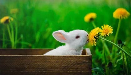 世界杯高清比赛观看平台-中国女足队员张琳艳：亚洲杯才打一半 淘汰赛争取做更好